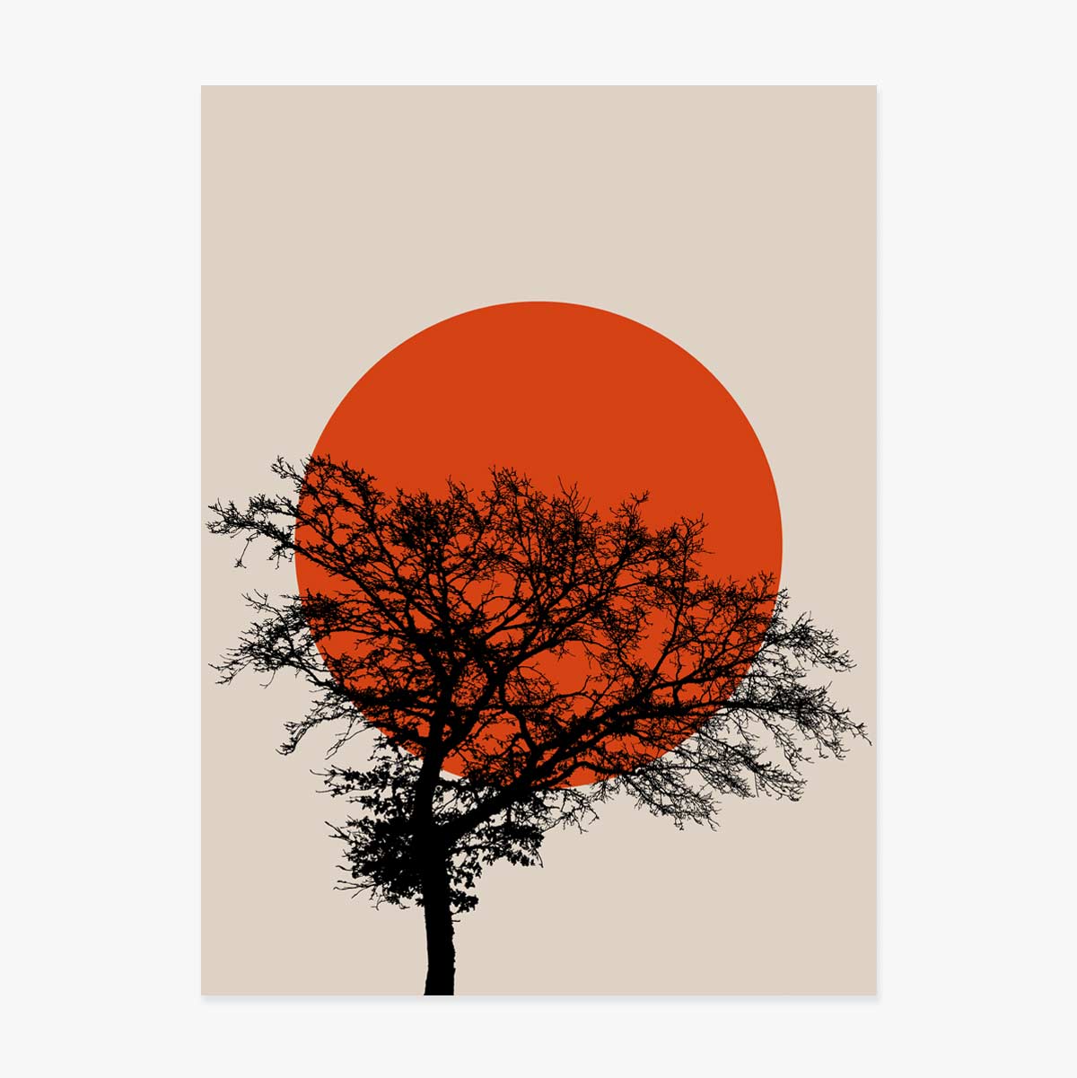 Poster-Zusammenfassung: Sonne
