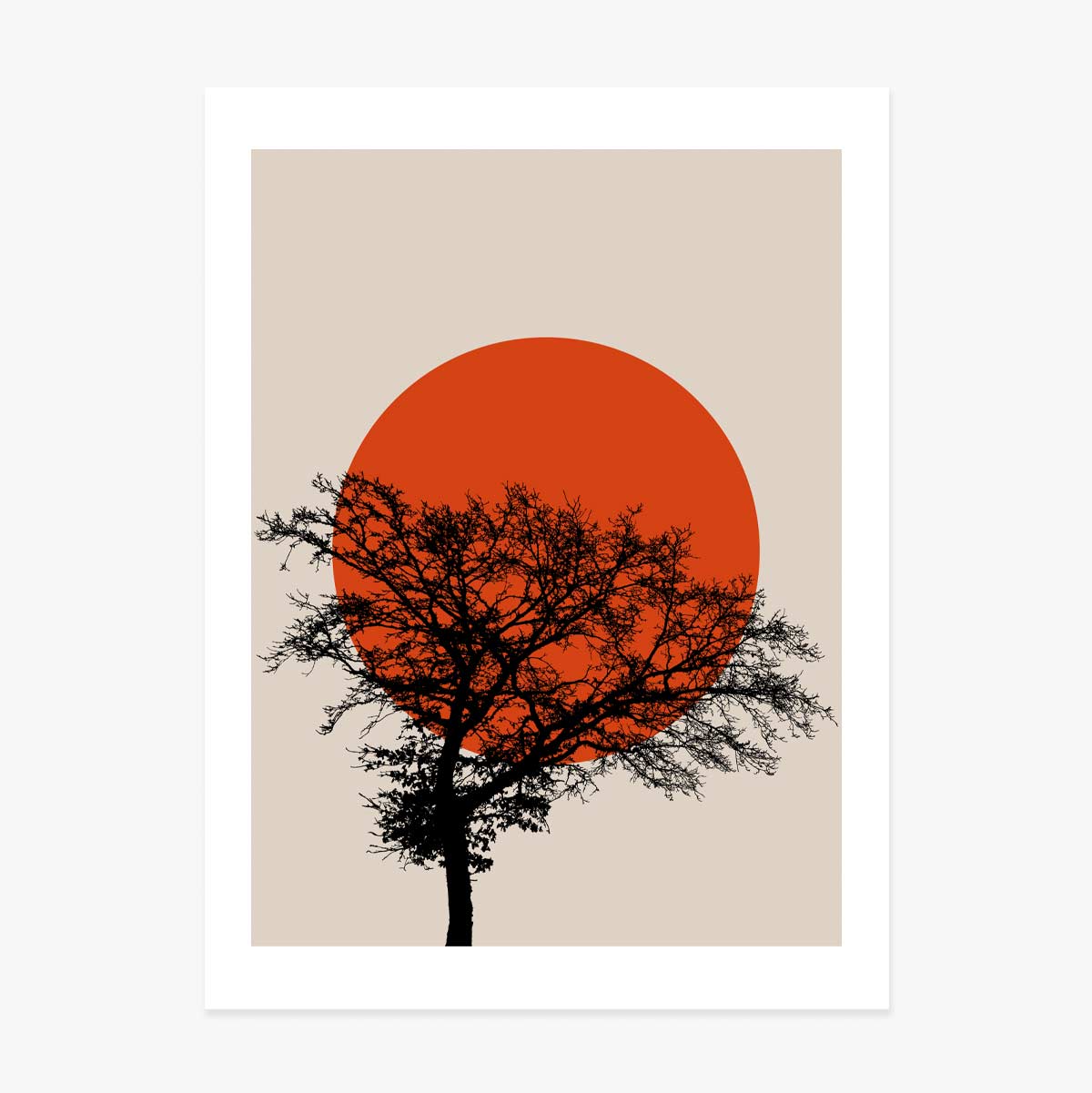 Poster-Zusammenfassung: Sonne
