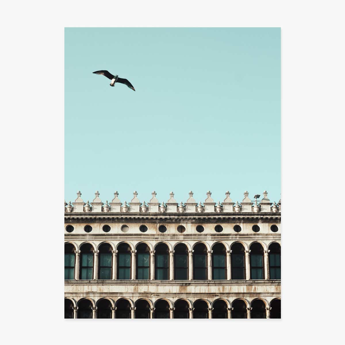 Poster bird and building