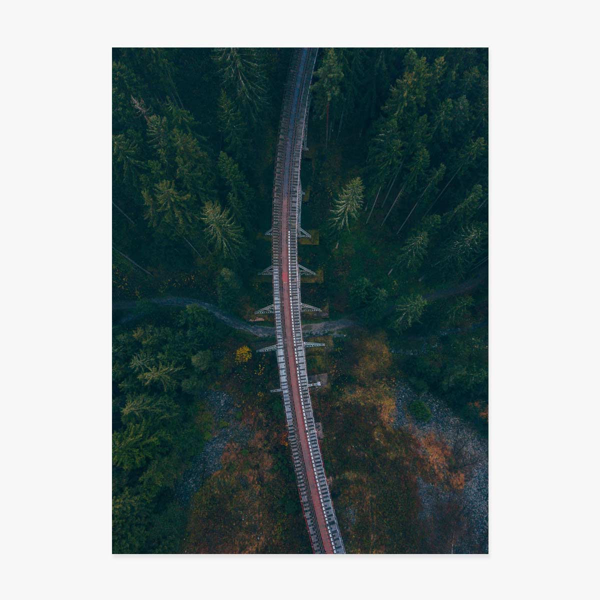 Forest Poster