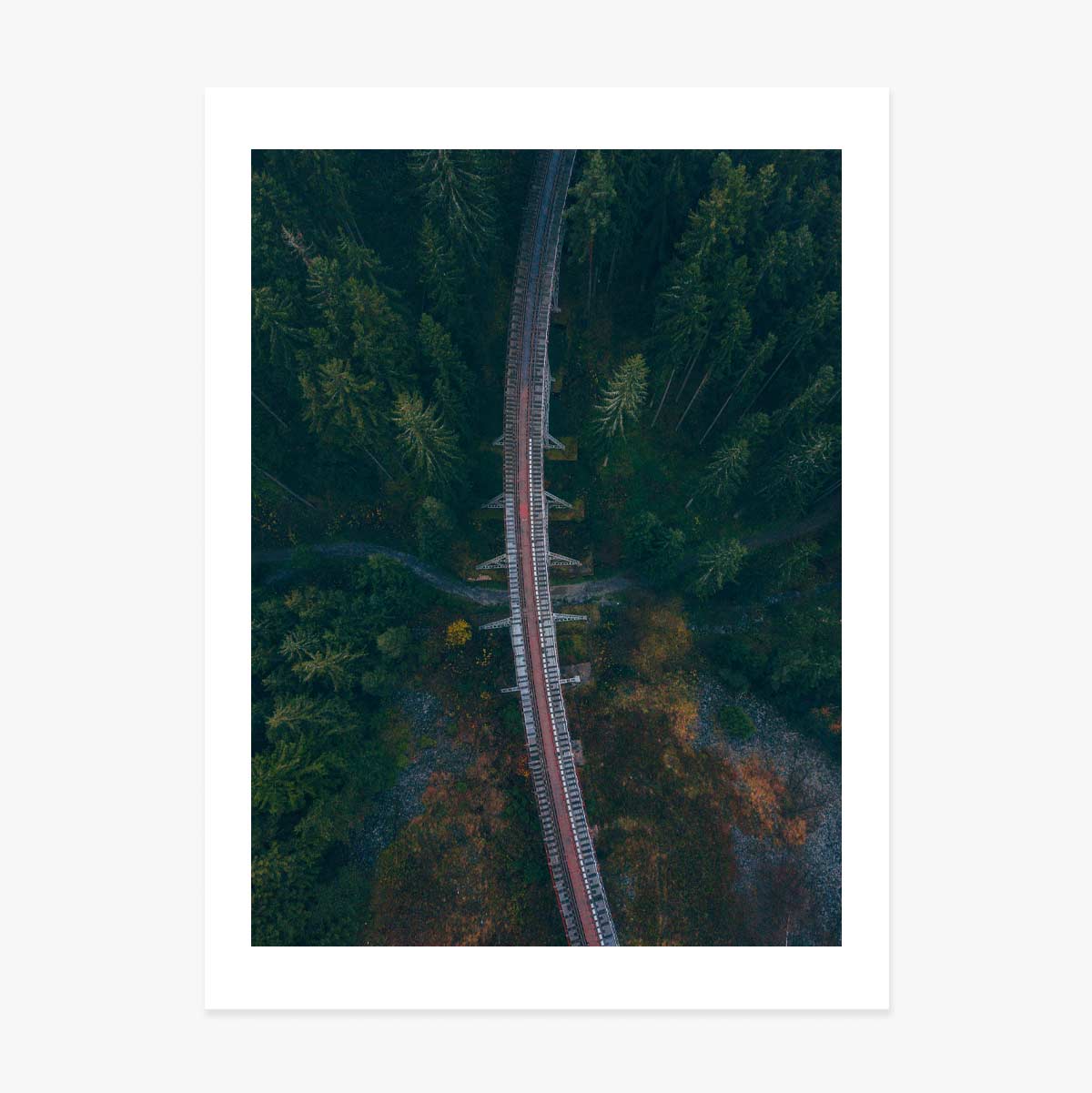 Forest Poster