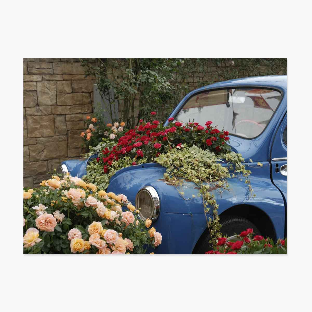 Poster: Blaues Oldtimer-Auto mit Blumen