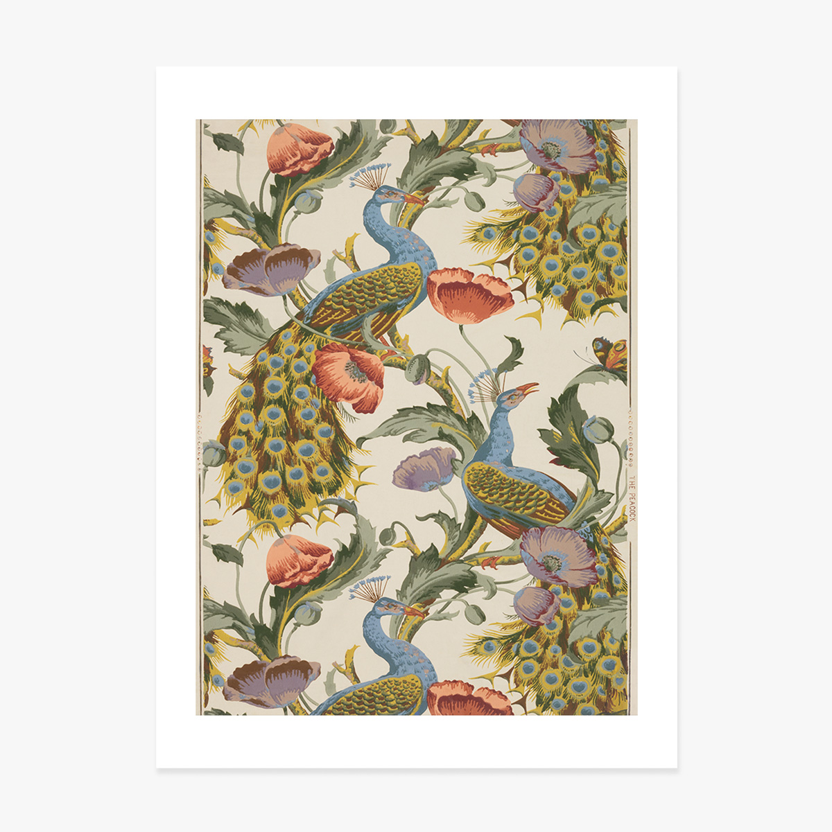 Vintage-Poster mit Pfauen und Mohnblumen
