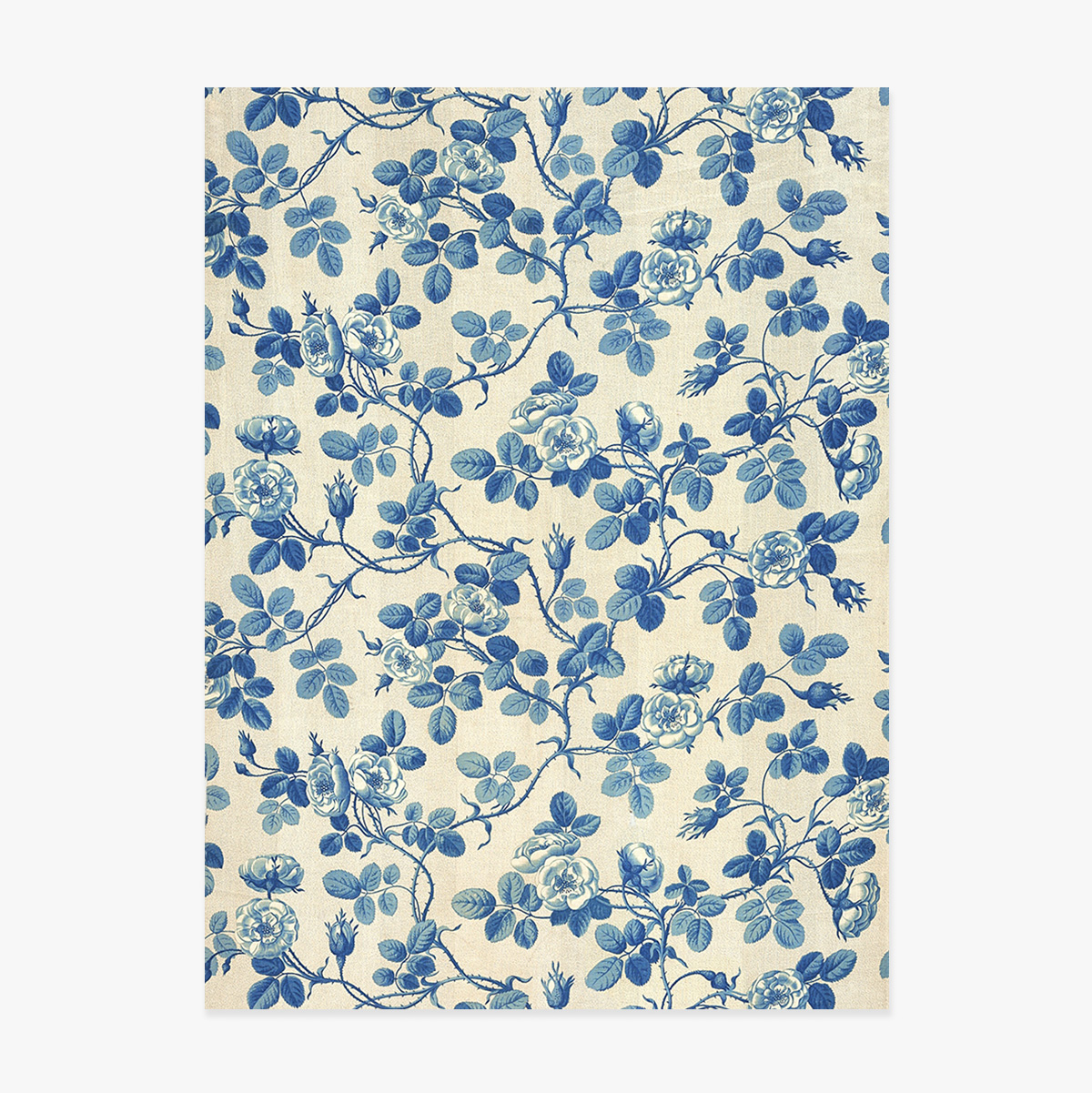 Poster „Blaue Pflanzen“